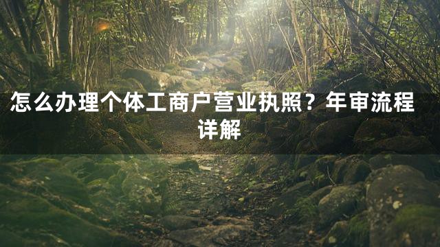 怎么办理个体工商户营业执照？年审流程详解