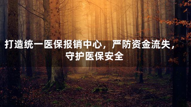 打造统一医保报销中心，严防资金流失，守护医保安全