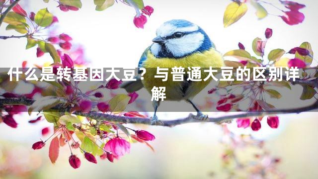 什么是转基因大豆？与普通大豆的区别详解