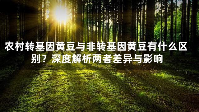 农村转基因黄豆与非转基因黄豆有什么区别？深度解析两者差异与影响