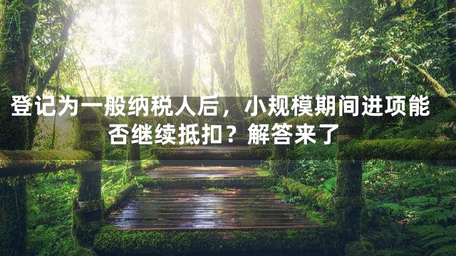 登记为一般纳税人后，小规模期间进项能否继续抵扣？解答来了