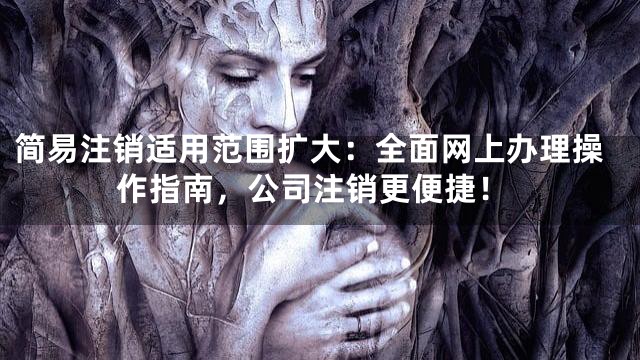简易注销适用范围扩大：全面网上办理操作指南，公司注销更便捷！