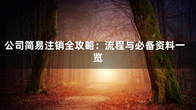 公司简易注销全攻略：流程与必备资料一览