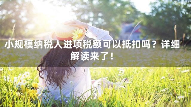小规模纳税人进项税额可以抵扣吗？详细解读来了！