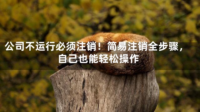 公司不运行必须注销！简易注销全步骤，自己也能轻松操作