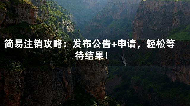 简易注销攻略：发布公告+申请，轻松等待结果！