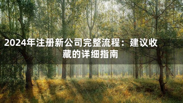2024年注册新公司完整流程：建议收藏的详细指南