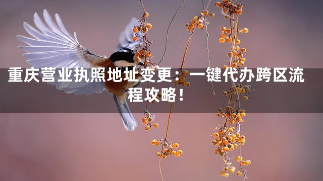 重庆营业执照地址变更：一键代办跨区流程攻略！