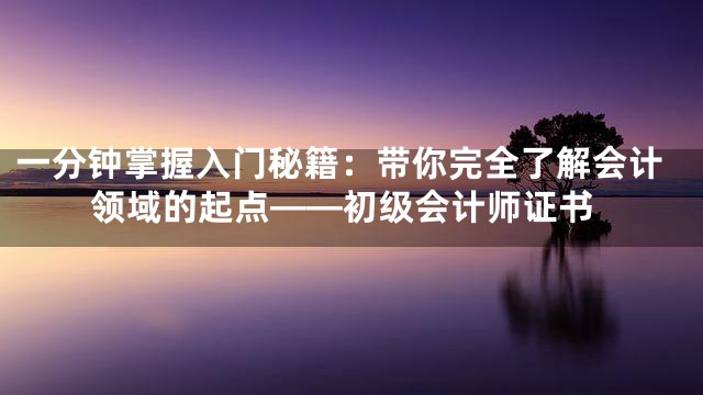一分钟掌握入门秘籍：带你完全了解会计领域的起点——初级会计师证书