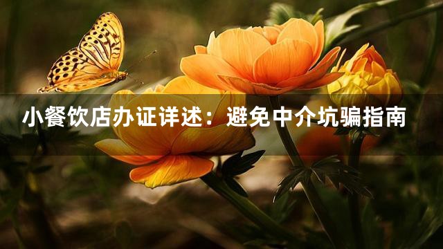 小餐饮店办证详述：避免中介坑骗指南