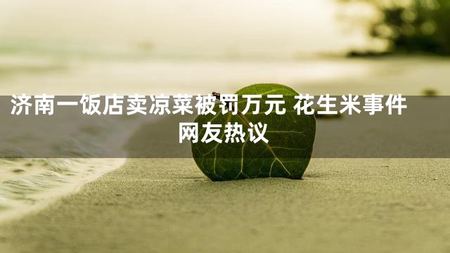 济南一饭店卖凉菜被罚万元 花生米事件网友热议