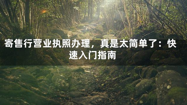 寄售行营业执照办理，真是太简单了：快速入门指南