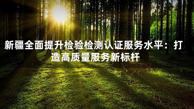 新疆全面提升检验检测认证服务水平：打造高质量服务新标杆