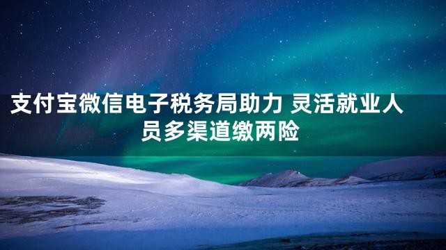 支付宝微信电子税务局助力 灵活就业人员多渠道缴两险