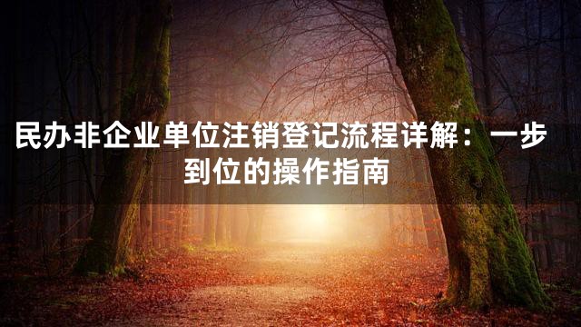 民办非企业单位注销登记流程详解：一步到位的操作指南