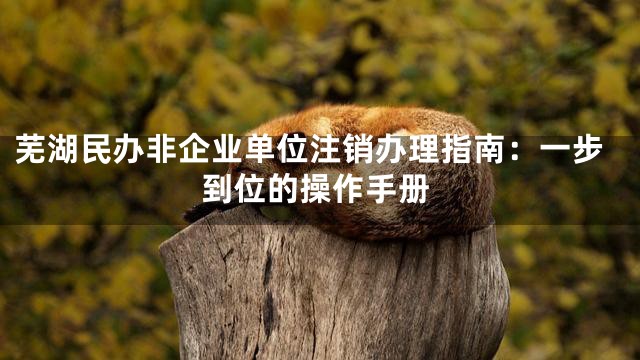 芜湖民办非企业单位注销办理指南：一步到位的操作手册