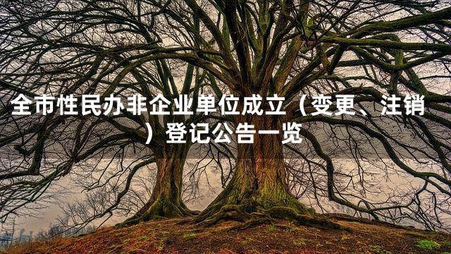 全市性民办非企业单位成立（变更、注销）登记公告一览