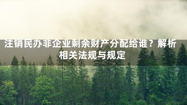 注销民办非企业剩余财产分配给谁？解析相关法规与规定