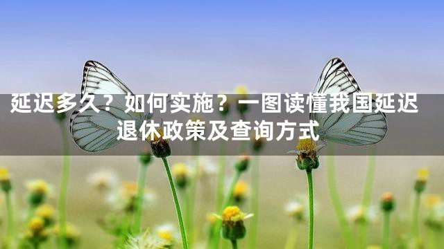 延迟多久？如何实施？一图读懂我国延迟退休政策及查询方式