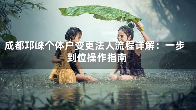 成都邛崃个体户变更法人流程详解：一步到位操作指南