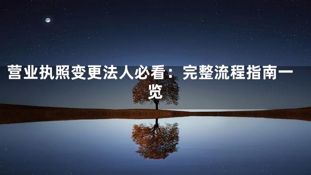 营业执照变更法人必看：完整流程指南一览