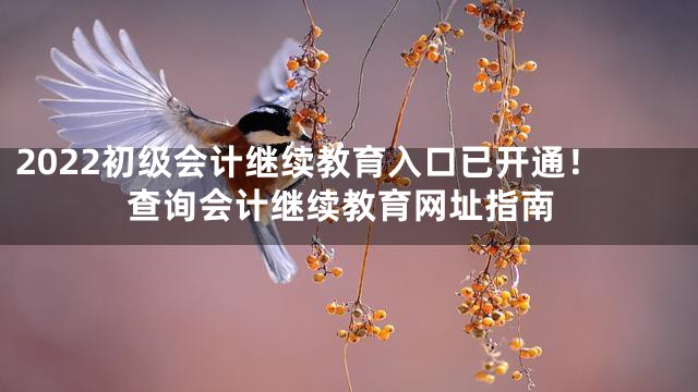 2022初级会计继续教育入口已开通！查询会计继续教育网址指南