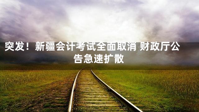 突发！新疆会计考试全面取消 财政厅公告急速扩散