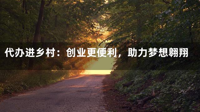 代办进乡村：创业更便利，助力梦想翱翔