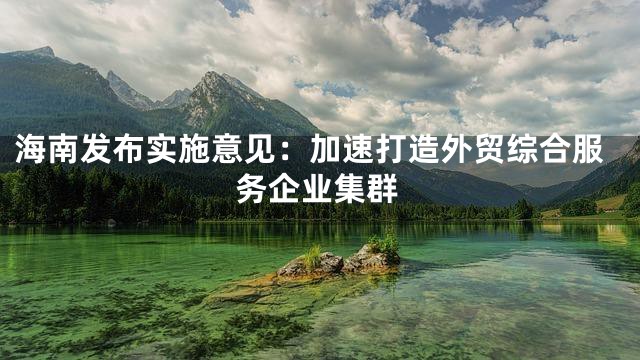 海南发布实施意见：加速打造外贸综合服务企业集群