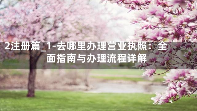 2注册篇_1-去哪里办理营业执照：全面指南与办理流程详解