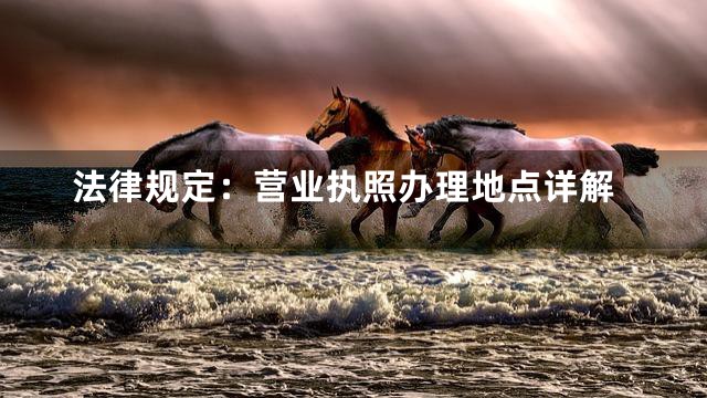 法律规定：营业执照办理地点详解