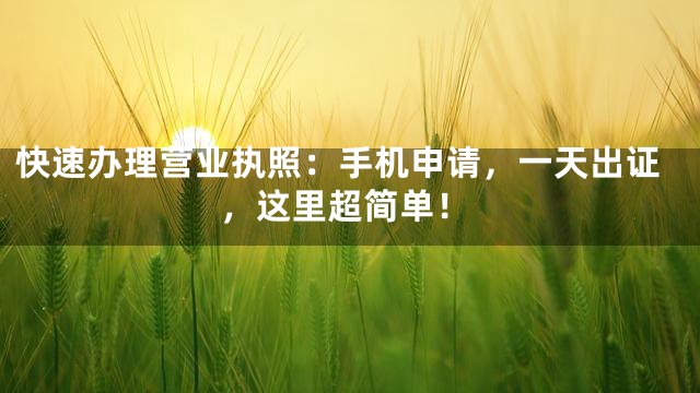 快速办理营业执照：手机申请，一天出证，这里超简单！