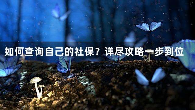 如何查询自己的社保？详尽攻略一步到位