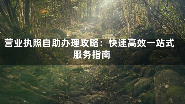 营业执照自助办理攻略：快速高效一站式服务指南