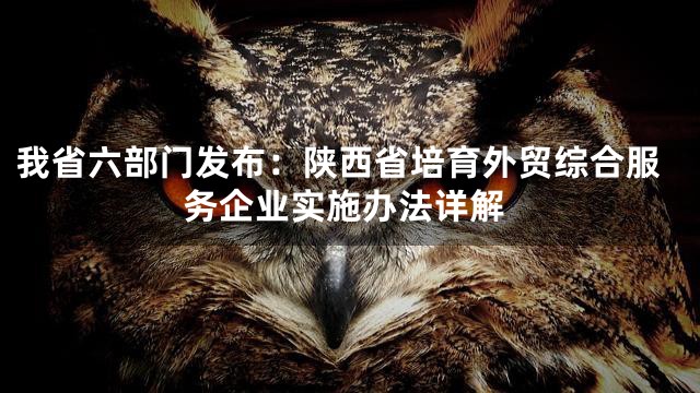 我省六部门发布：陕西省培育外贸综合服务企业实施办法详解
