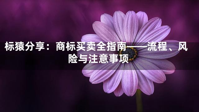 标猿分享：商标买卖全指南——流程、风险与注意事项