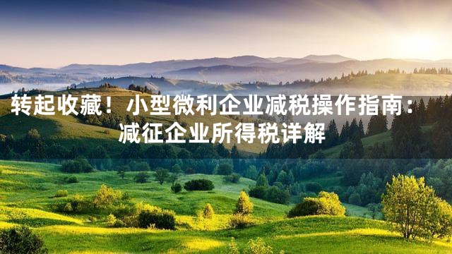 转起收藏！小型微利企业减税操作指南：减征企业所得税详解