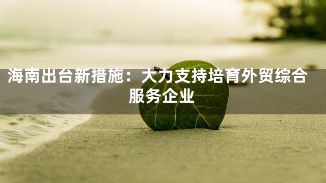 海南出台新措施：大力支持培育外贸综合服务企业