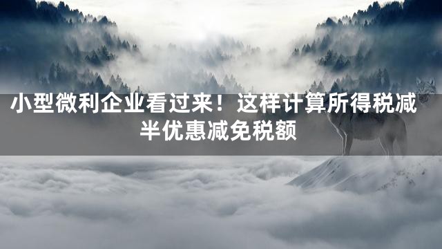 小型微利企业看过来！这样计算所得税减半优惠减免税额