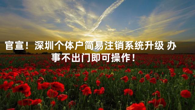 官宣！深圳个体户简易注销系统升级 办事不出门即可操作！