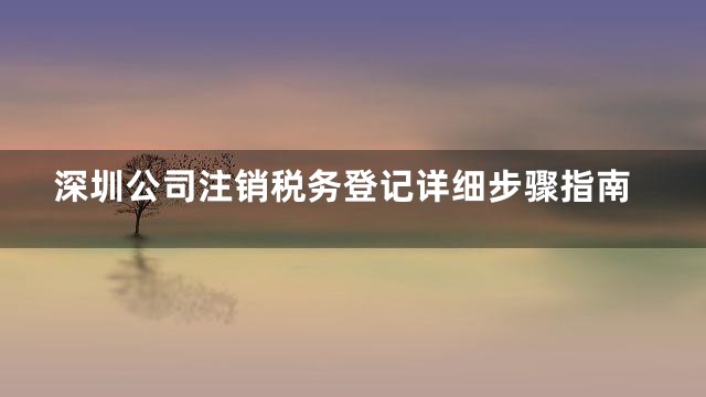 深圳公司注销税务登记详细步骤指南