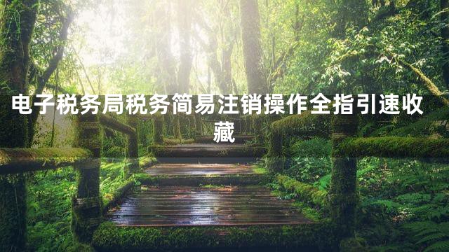 电子税务局税务简易注销操作全指引速收藏