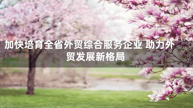 加快培育全省外贸综合服务企业 助力外贸发展新格局