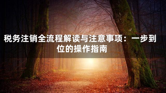 税务注销全流程解读与注意事项：一步到位的操作指南