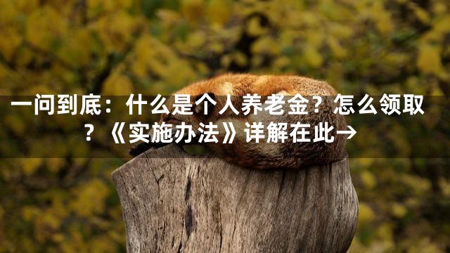 一问到底：什么是个人养老金？怎么领取？《实施办法》详解在此→