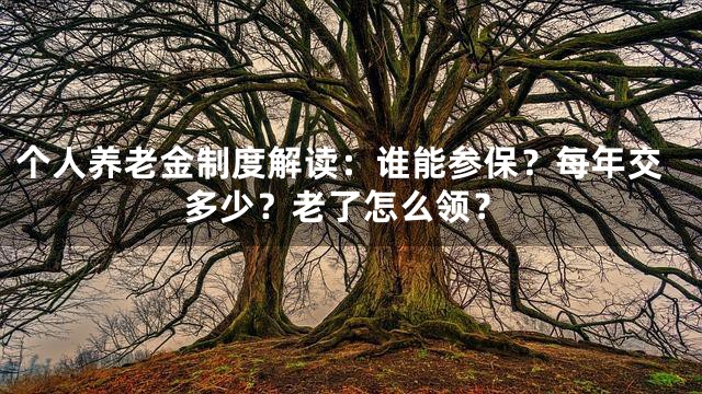 个人养老金制度解读：谁能参保？每年交多少？老了怎么领？
