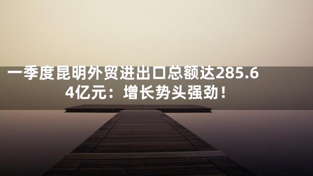 一季度昆明外贸进出口总额达285.64亿元：增长势头强劲！
