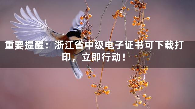 重要提醒：浙江省中级电子证书可下载打印，立即行动！