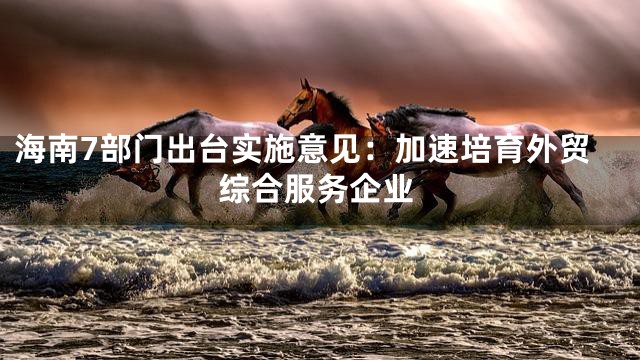 海南7部门出台实施意见：加速培育外贸综合服务企业