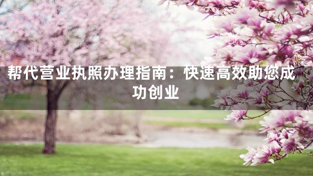 帮代营业执照办理指南：快速高效助您成功创业